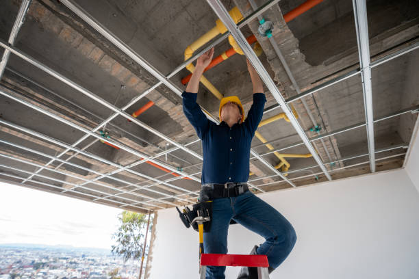 Best Commercial Plumbing Services  in Buckhead Ridge, FL