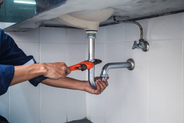 Best Affordable Plumbing Services  in Buckhead Ridge, FL