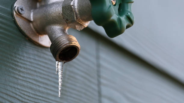 Best Plumbing Services Near Me  in Buckhead Ridge, FL